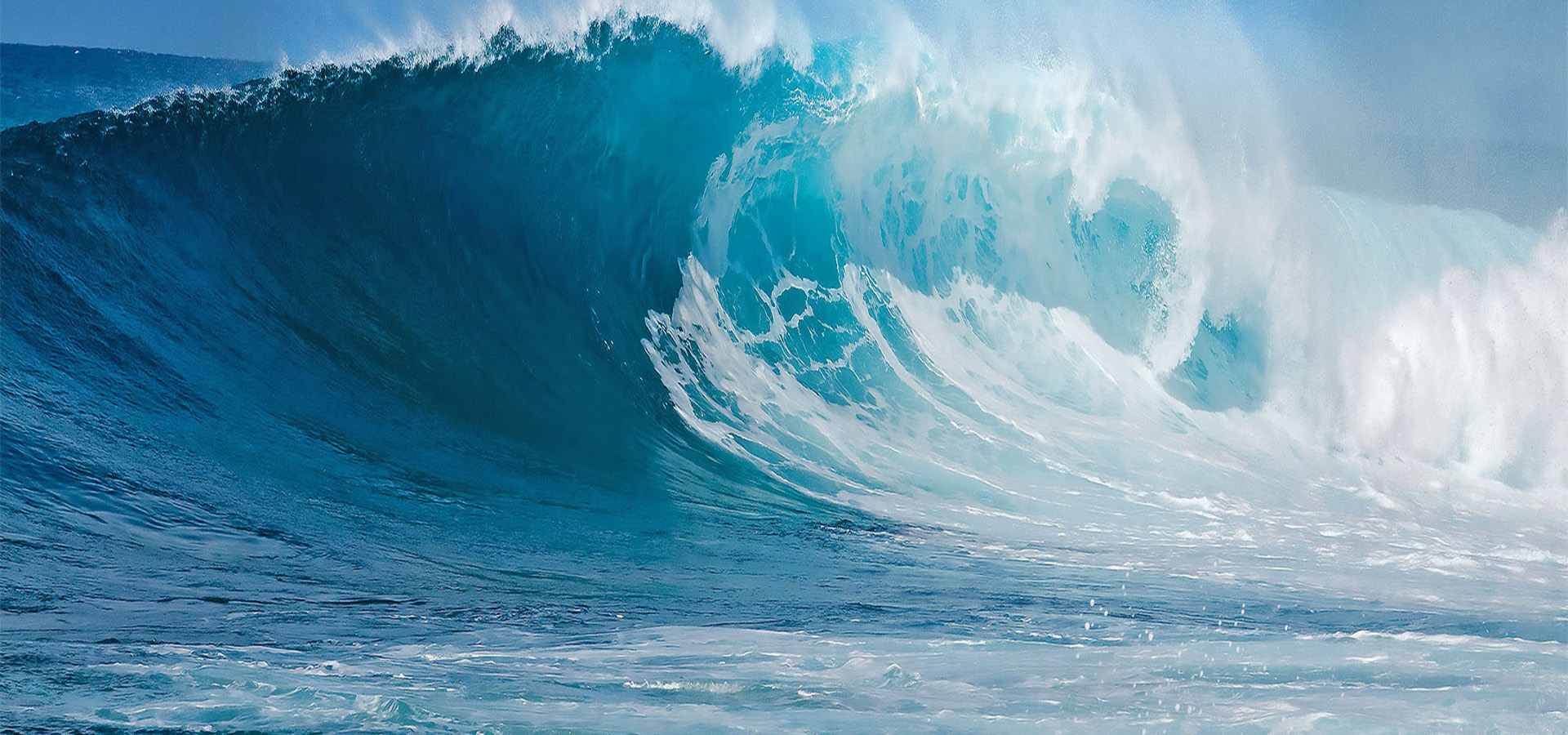 元含万象、万象7790必发集团